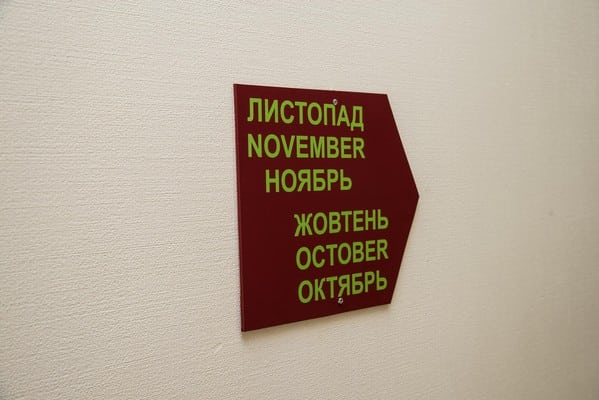 12 месяцев 11