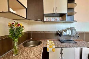 Квартира 2-ком на просп.Соборном 212 (бульвар Шевченко). Апартаменты 4-местный на проспекте Соборный 212 9