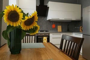 Квартира 2-ком. на просп.Соборном 224 (Металлургов). Апартаменты 4-местный  9