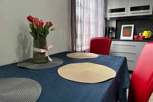 Квартира 2-ком. на ул.Святого Николая 67 (рядом с Университетской площадью). Люкс 4-местный  8