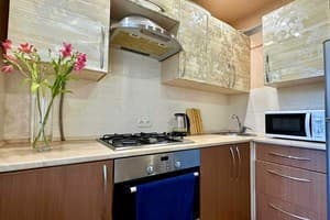 Квартира 2-ком. ул. Украинская 45 (Пушкина, Лахти). Апартаменты 4-местный ул. Украинская 45 11