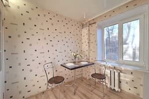 Квартира 2 комнатная в центре. Alex Apartments. Апартаменты двухместный  20