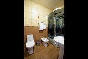 Отель Аэрополь. Люкс двухместный VIP 5