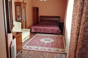 Отель Аэрополь. Люкс двухместный VIP 7