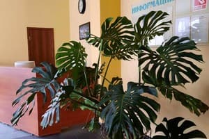 Александрия 10