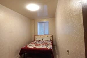 Квартира Alexandr Apartments по ул. Черновола 122/41. Апартаменты двухместный  3