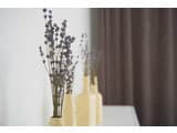 Apartamets 5 star 21