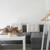 Apartamets 5 star 47-48/51