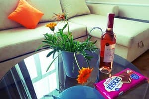 Apartment in city center BIG 18