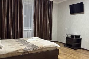 Квартира Apartments on Vidinska Street. Апартаменты двухместный  3