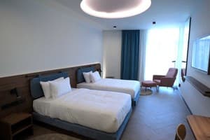 Гостинично-ресторанный комплекс Archotel Avenue. Супериор двухместный с отдельными кроватями 1