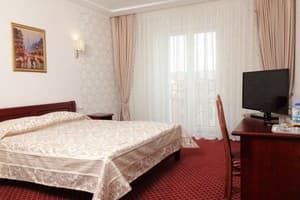 Отель Аристократ. Люкс двухместный  7