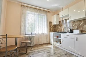 Квартира Babylon Apartments on Kyivska,  81. Апартаменты двухместный Однокомнатные 3