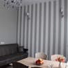 Отель Barin House. Апартаменты 4-местный с кухней 5