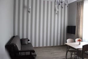 Отель Barin House. Апартаменты 4-местный с кухней 6