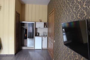 Отель Barin House. Люкс двухместный с холодильником 5