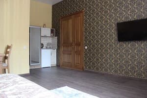 Отель Barin House. Люкс двухместный с холодильником 6
