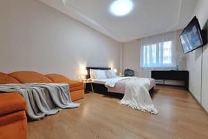 Квартира Большая кроватка на Садовом. Alex Apartments. Апартаменты двухместный  1
