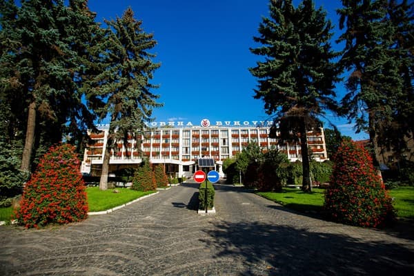 Буковина 8