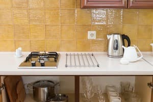 Апарт-отель Деренівська Купіль. Апартаменты 4-местный Grand Apartament 5