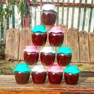 Дім мандрівника 15