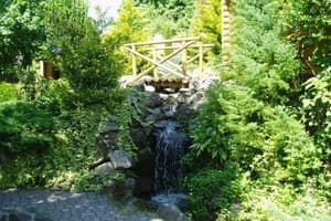 Дуэт Плюс 10