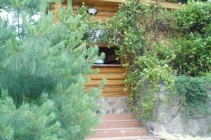 Дуэт Плюс 11