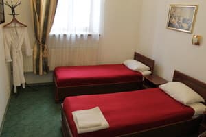 Гостиный двор Дворцовый. Стандарт двухместный  1