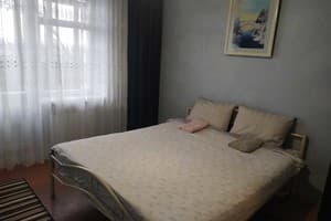 Квартира Двухкомнатная в центральном районе. Апартаменты двухместный  4