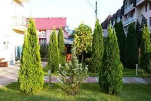 Эдельвейс 2