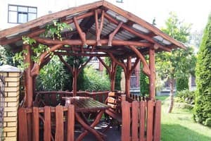 Эдельвейс 2