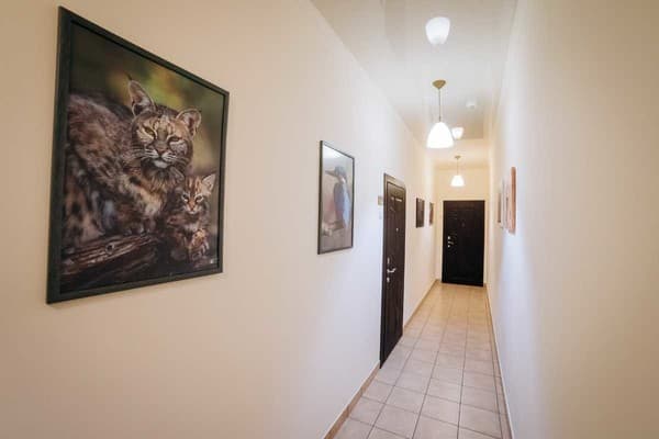 Family House 27