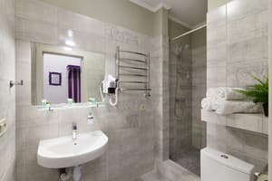 Бутик-отель Family Residence Boutique  Hotel. Делюкс двухместный  15