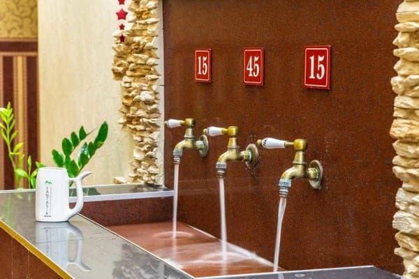 Фантазия 19
