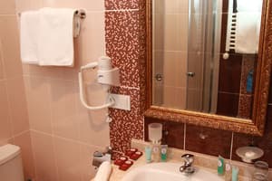 Отель Фонтуш Бутик Отель. Стандарт одноместный  3
