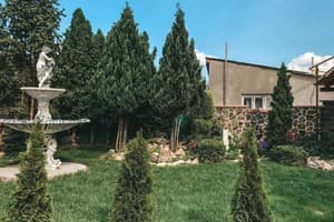 Forsage Hostel 23