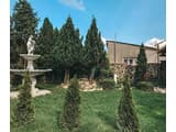 Forsage Hostel 23