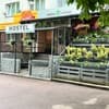  GREEN HOUSE 15-16/16