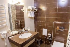 Отель GREEN PARK HOTEL&SPA. Делюкс двухместный  5