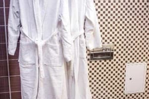 Отель GREEN PARK HOTEL&SPA. Люкс трехместный  5