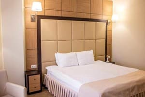 Отель GREEN PARK HOTEL&SPA. Стандарт двухместный  1
