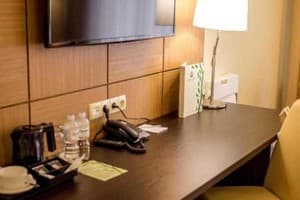 Отель GREEN PARK HOTEL&SPA. Стандарт двухместный  2