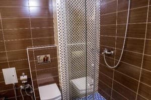 Отель GREEN PARK HOTEL&SPA. Улучшенный двухместный  4