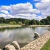 Галицька корона 9-10/41