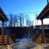 Галицька корона 26-27/41