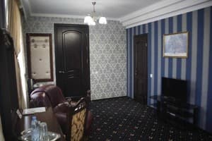 Отель Garden Hall. Полулюкс двухместный  11