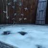 Герасимовых 1-2/15