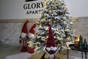 Glory 1