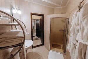 Отель Гостевия. Люкс двухместный  4