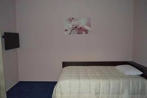 Отель Государь. Комфорт одноместный  2